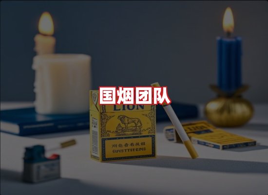 国烟团队